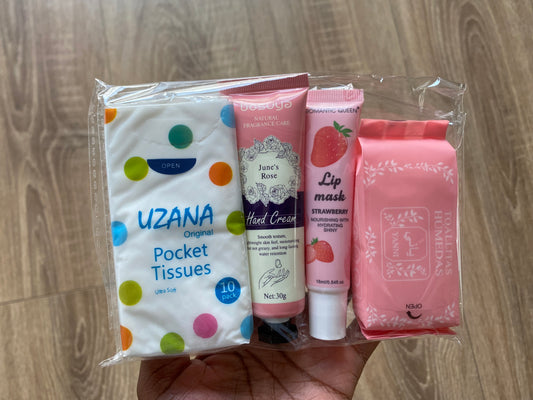 Handbag Minis